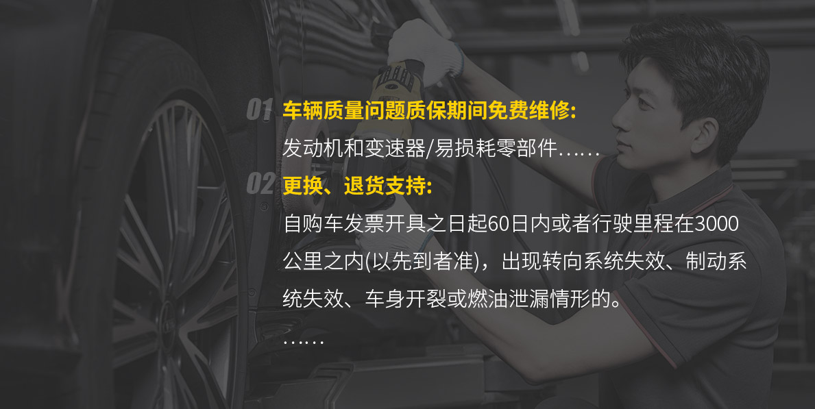 中鼎平行汽车